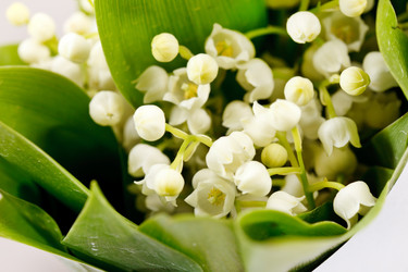 Similar image 2731111