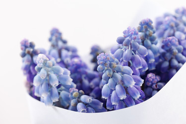 Similar image 2731112