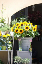 Similar image 2731113