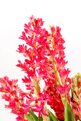 Similar image 2731125