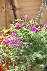 Similar image 2731126