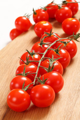 Similar image 2731156