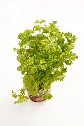 Similar image 2731158