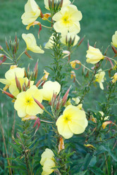 Similar image 2731165