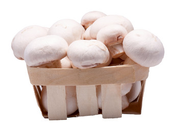 Similar image 2731179