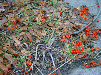 Similar image 2731187