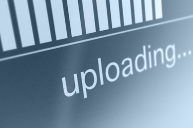 Similar image 2731202