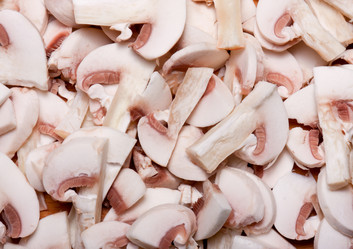 Similar image 2731251