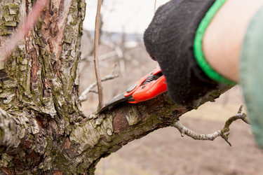 Similar image 2731255