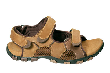 Similar image 2731476