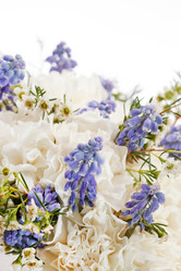 Similar image 2731581