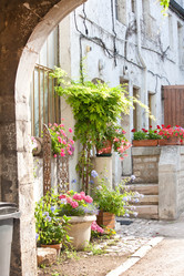 Similar image 2731585