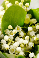 Similar image 2731596