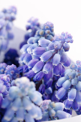 Similar image 2731597