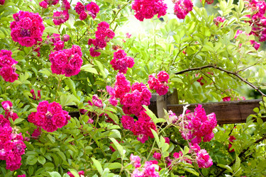 Similar image 2731613