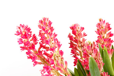 Similar image 2731627