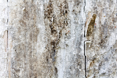 Similar image 2731629