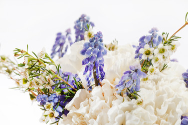 Similar image 2731661