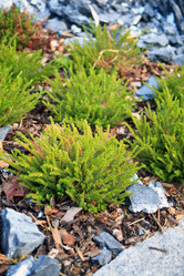 Similar image 2731670