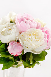 Similar image 2731677