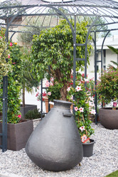 Similar image 2731686