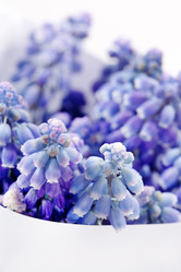 Similar image 2731689