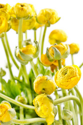 Similar image 2731690