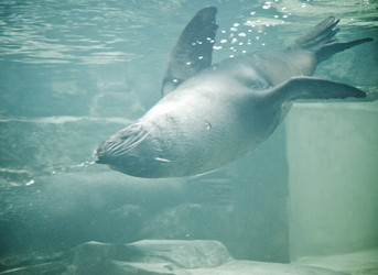 Similar image 2731697