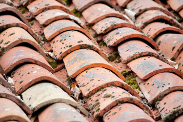 Similar image 2731699