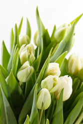 Similar image 2731704