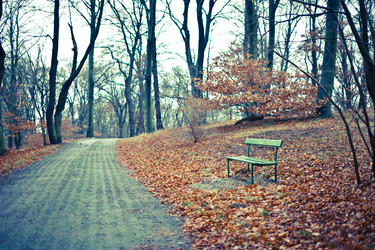 Similar image 2731707