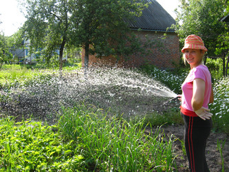 Similar image 2731726