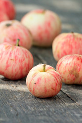 Similar image 2731748