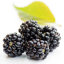 Similar image 2731800