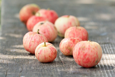 Similar image 2731815