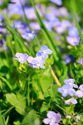 Similar image 2731846