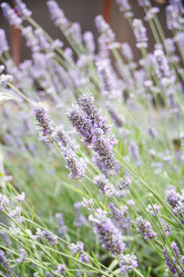 Similar image 2731849