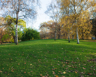 Similar image 2731890