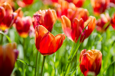 Similar image 2732096