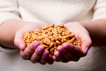 Similar image 2732231