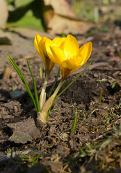 Similar image 2732245