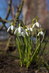 Similar image 2732247