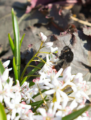 Similar image 2732250