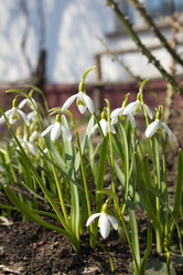 Similar image 2732251