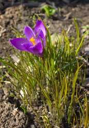 Similar image 2732252