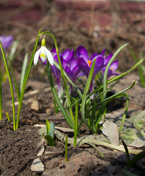 Similar image 2732253