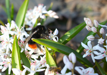 Similar image 2732254