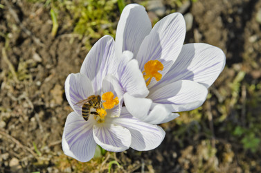 Similar image 2732266