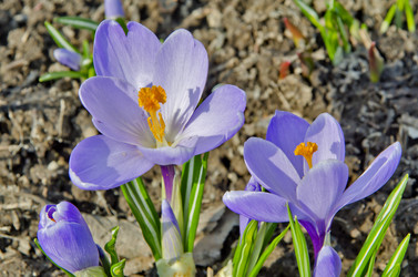 Similar image 2732268