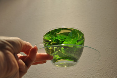 Similar image 2732374